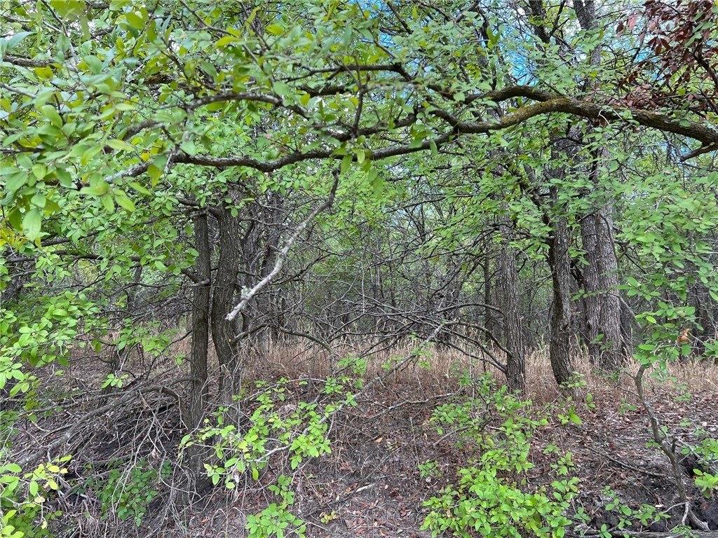 Picture 18