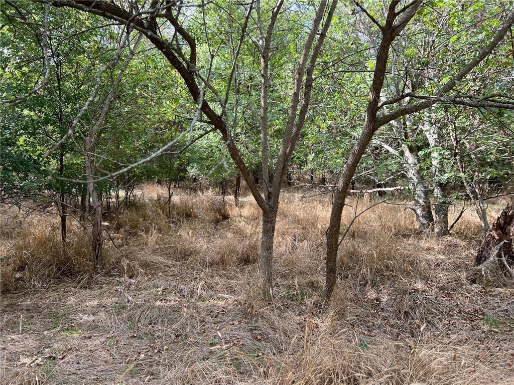 Picture 20