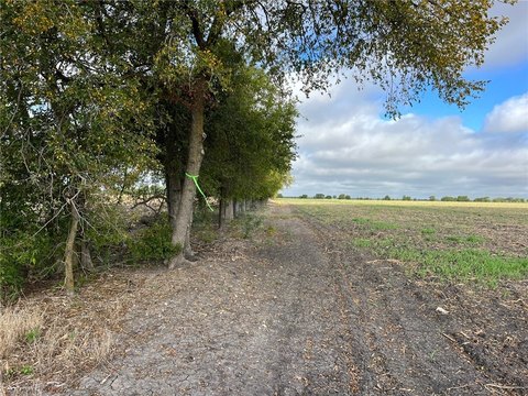 Agricultural Hunting and Farmland Tract