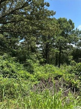 LAND - Van Buren, MO