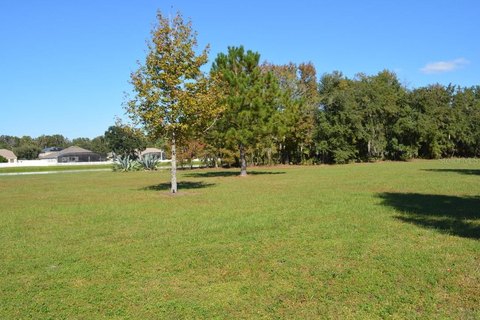 Cleared Waterfront Land