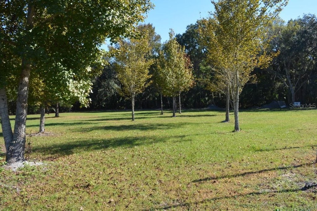 Picture 13