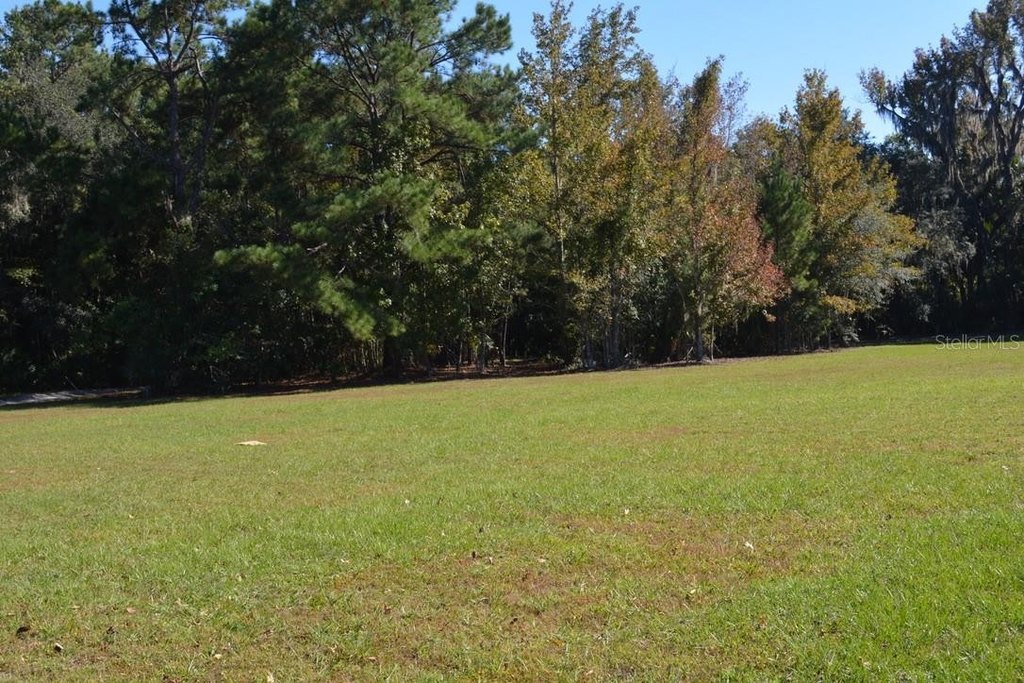Picture 15