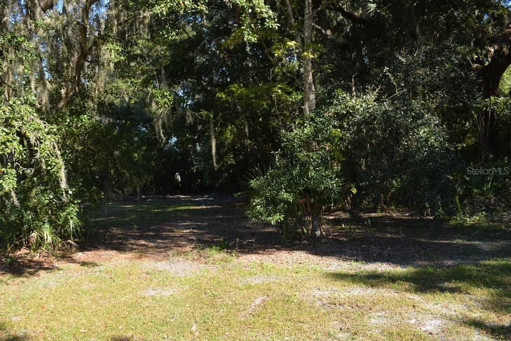 Picture 25