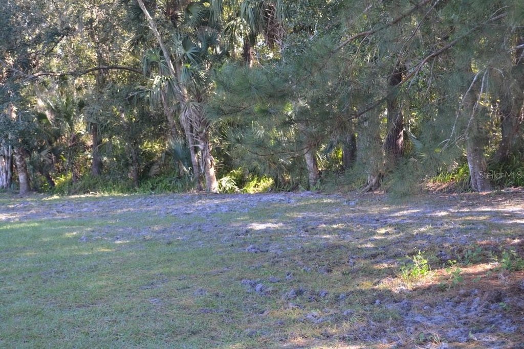Picture 21