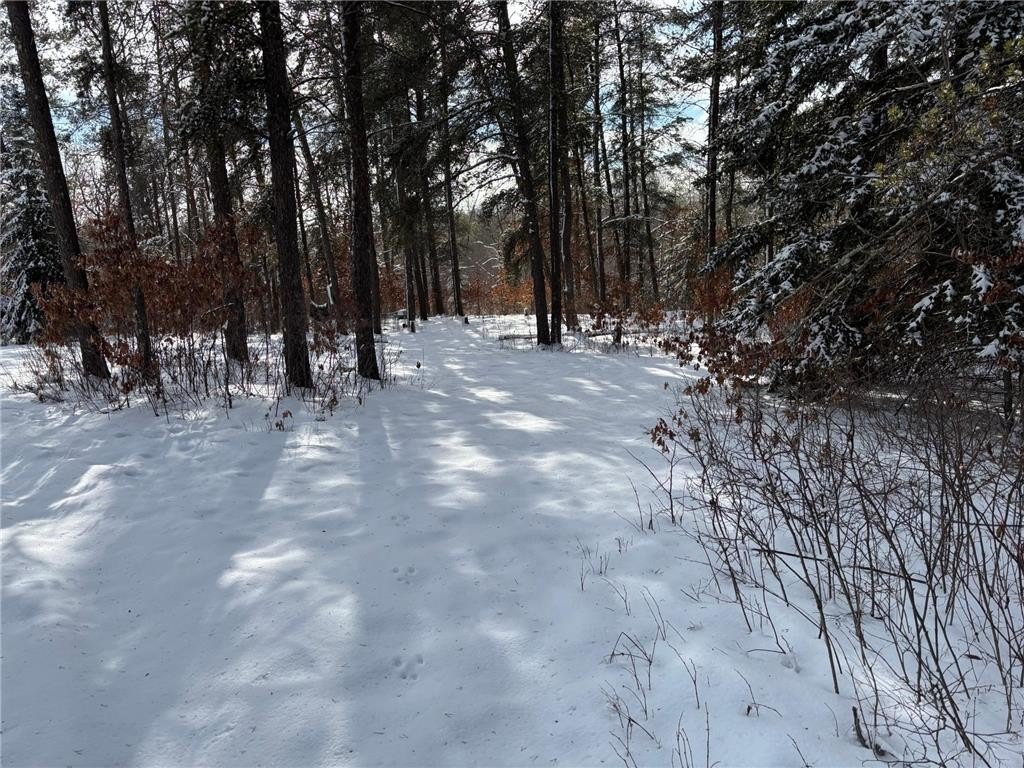 Picture 5