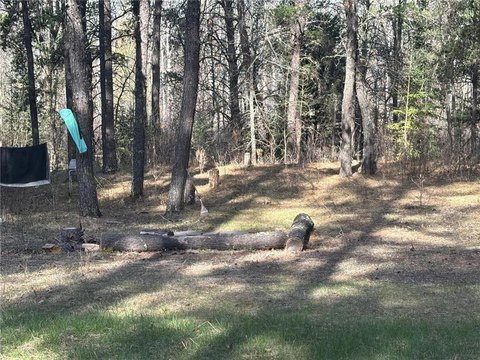 Park Rapids Hunting and Building Land