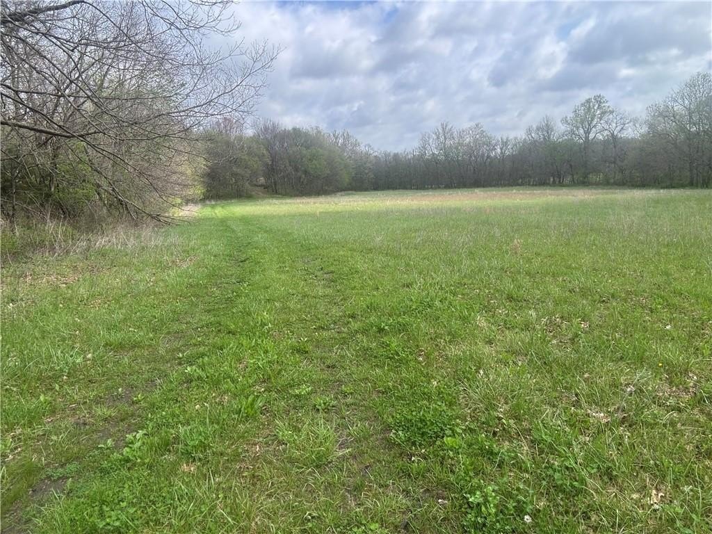Picture 16