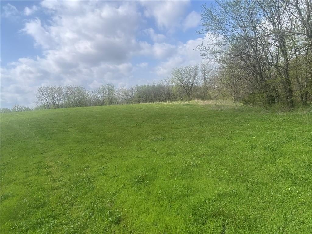 Picture 19
