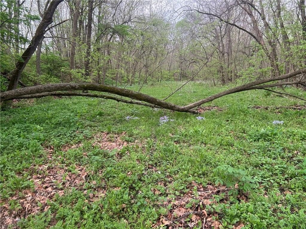 Picture 13