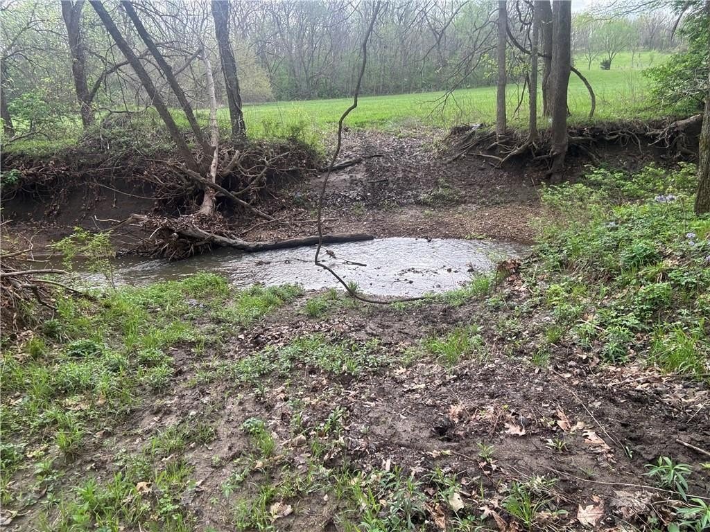 Picture 10