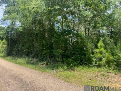 Unimproved Land - Franklinton, LA