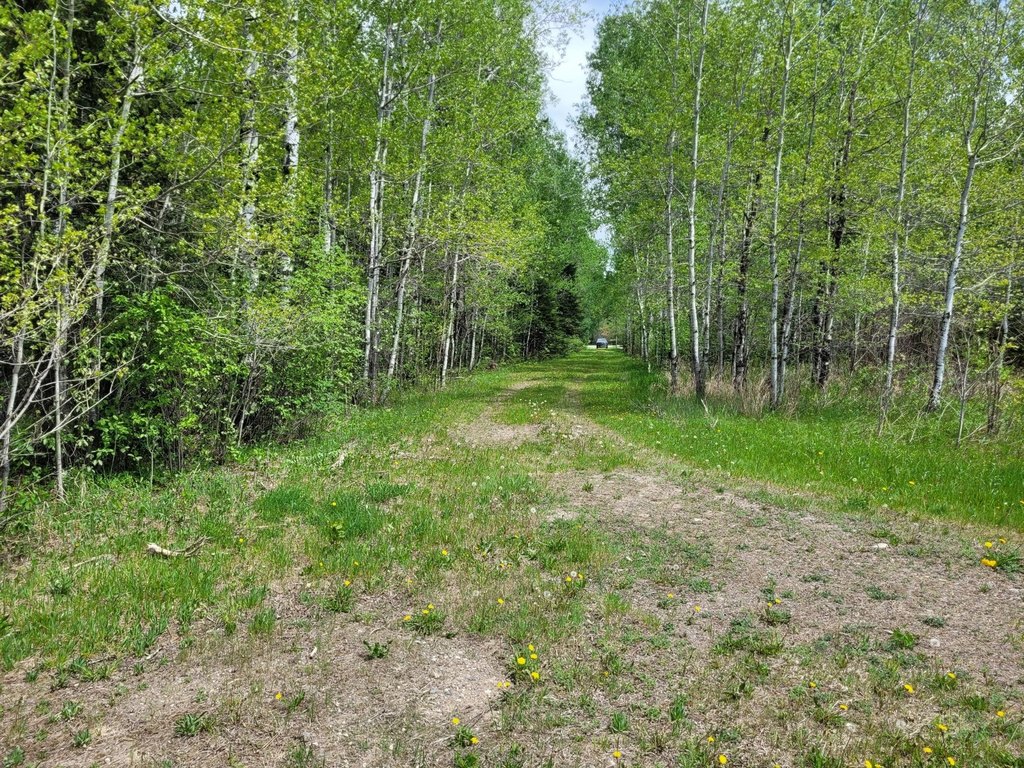 Picture 28