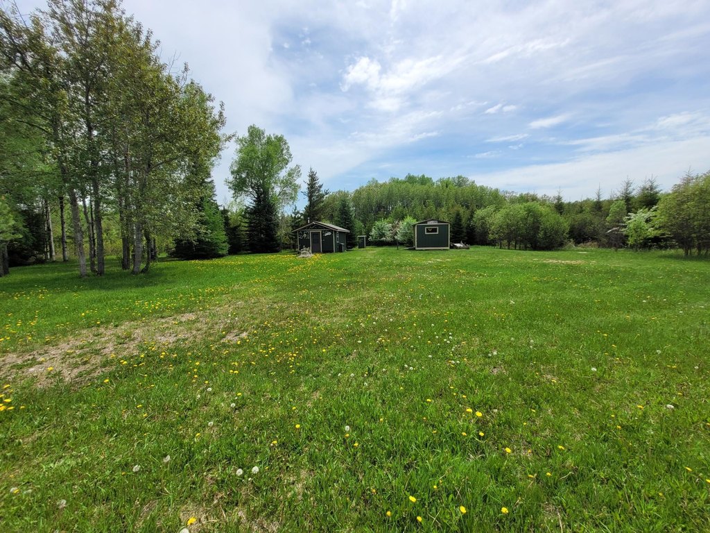 Picture 15