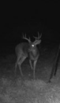 Del Rio Ranch with Home