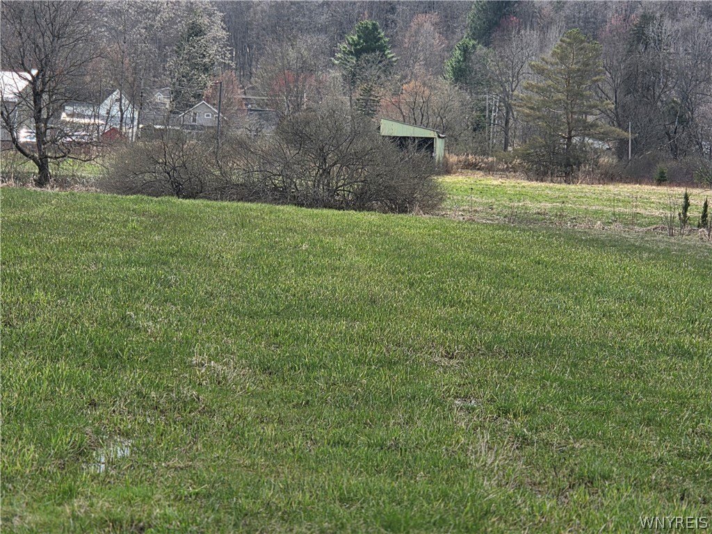 Picture 4
