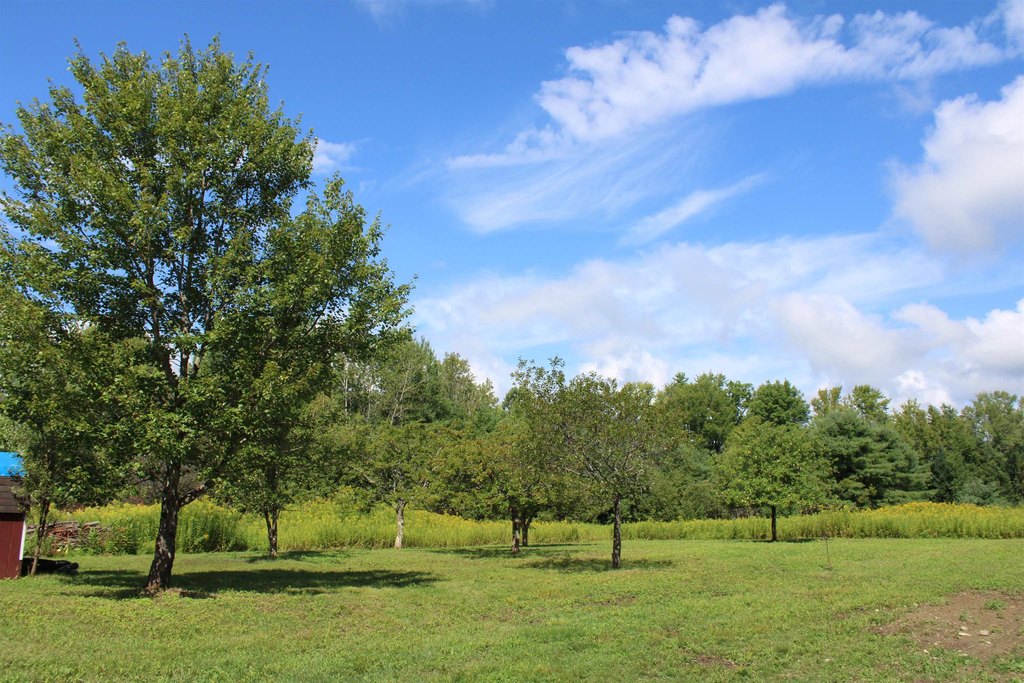 Picture 14