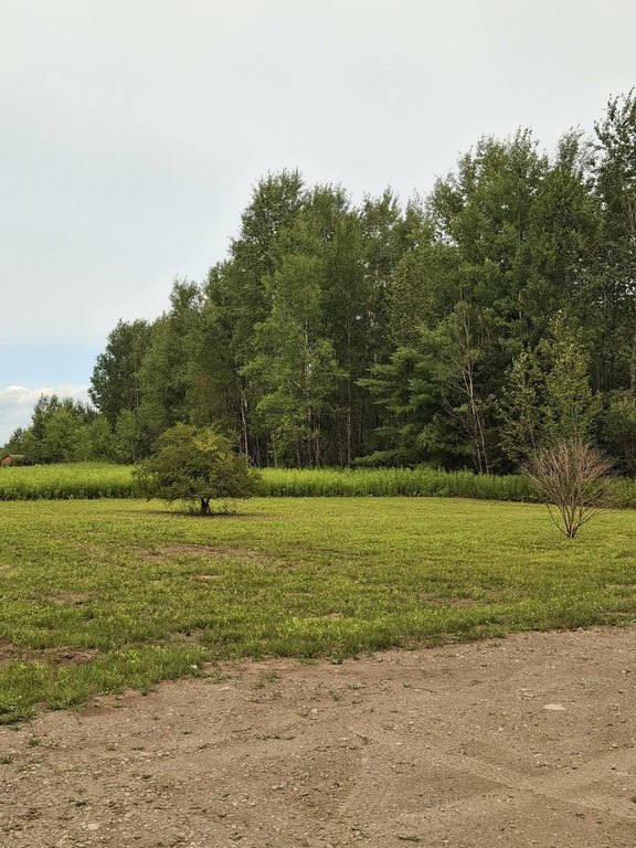 Picture 24