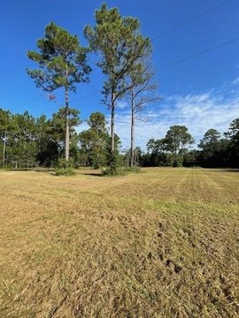 Land in Grand Bay, AL