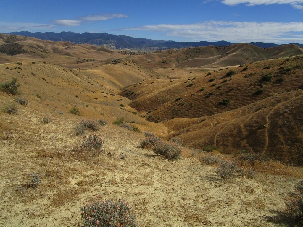 Picture 26