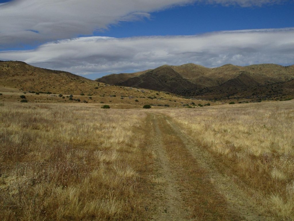 Picture 6