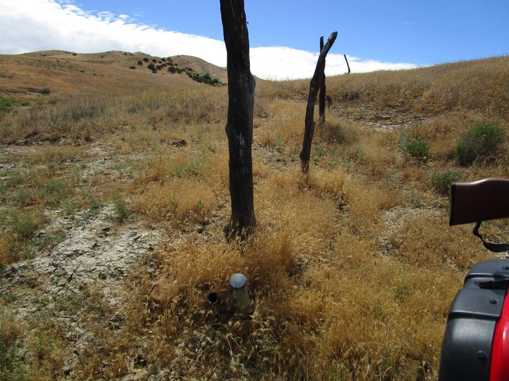 Picture 14