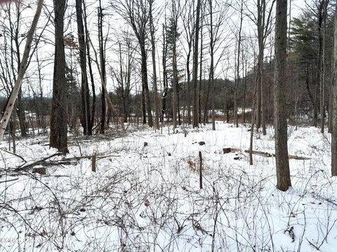 Land in West Coxsackie, NY
