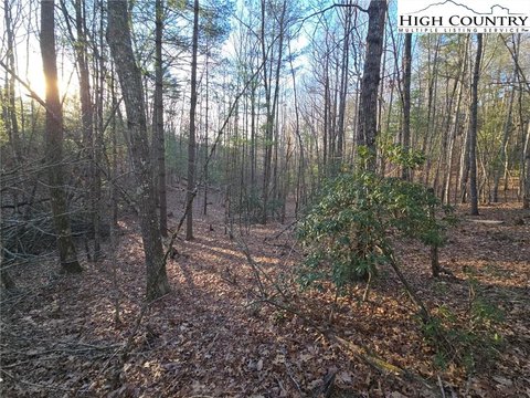 LAND - Jefferson, NC