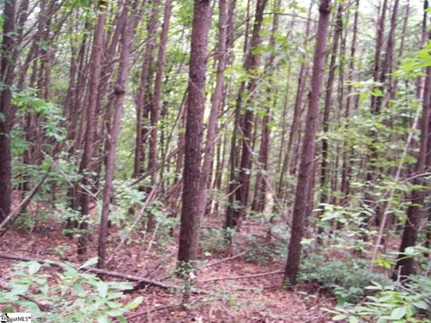 Wooded Lot in Gauley Falls