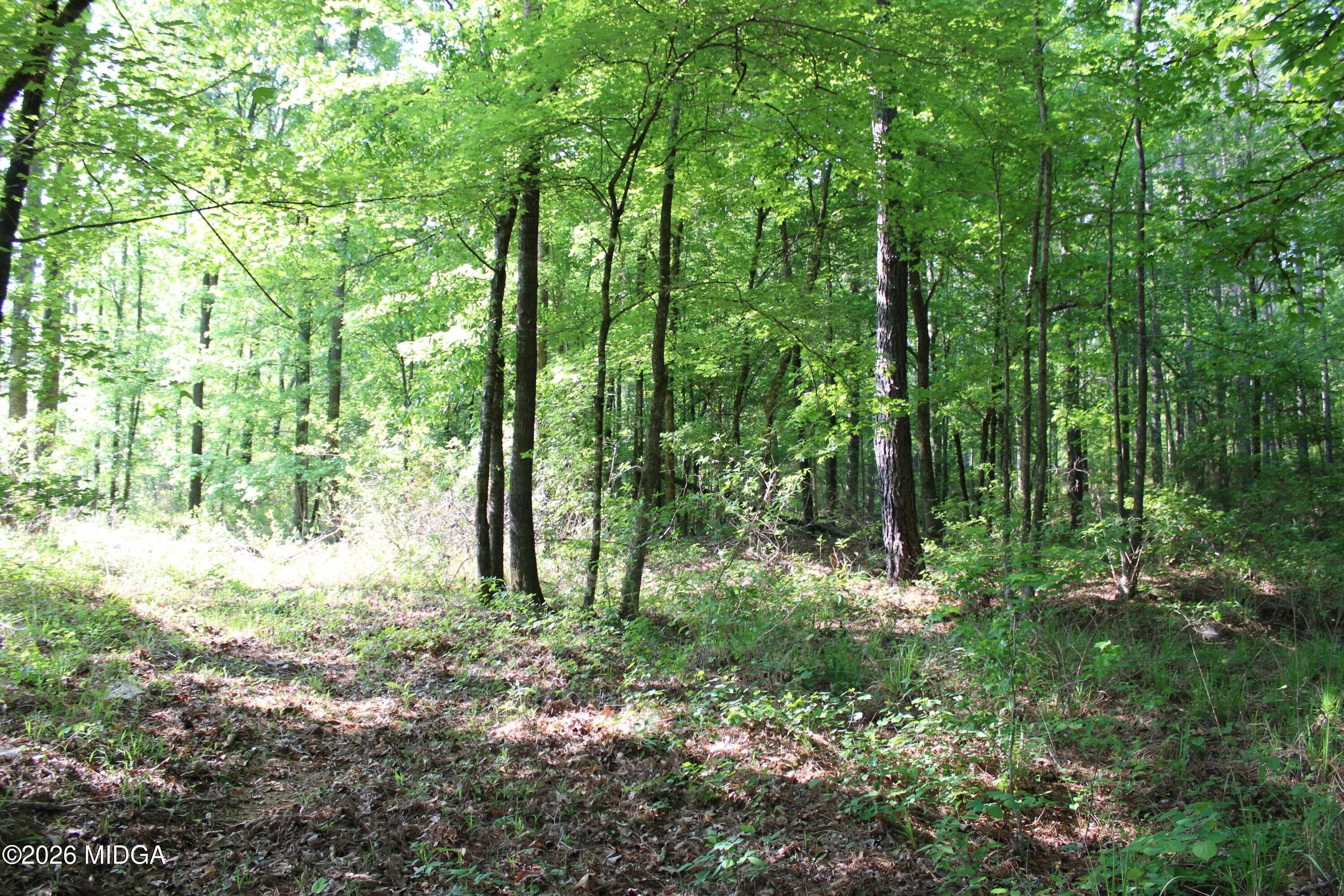 Forsyth, GA Land Tract