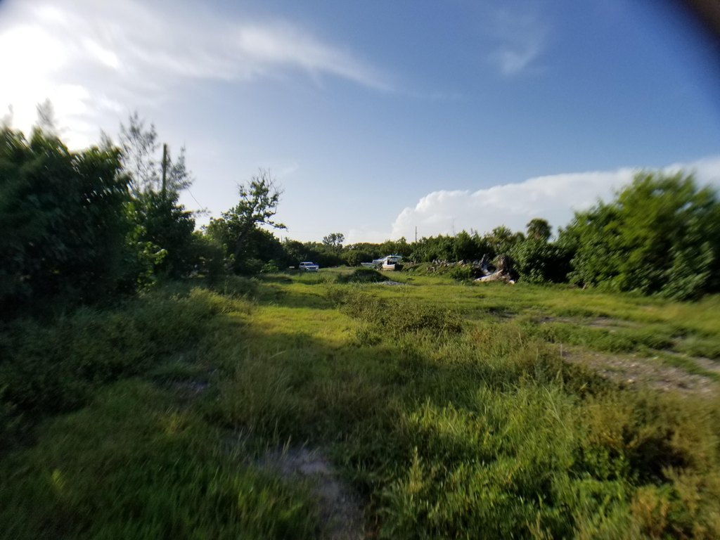 Picture 25