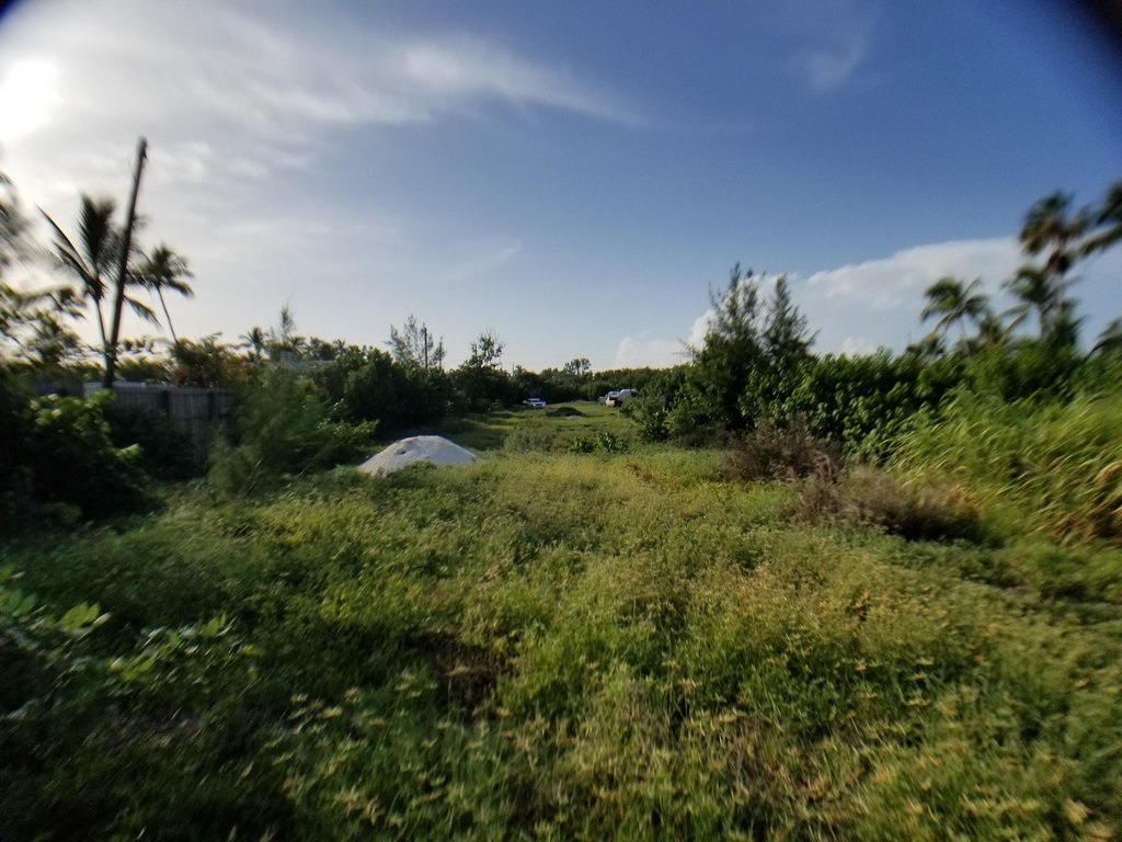 Picture 21