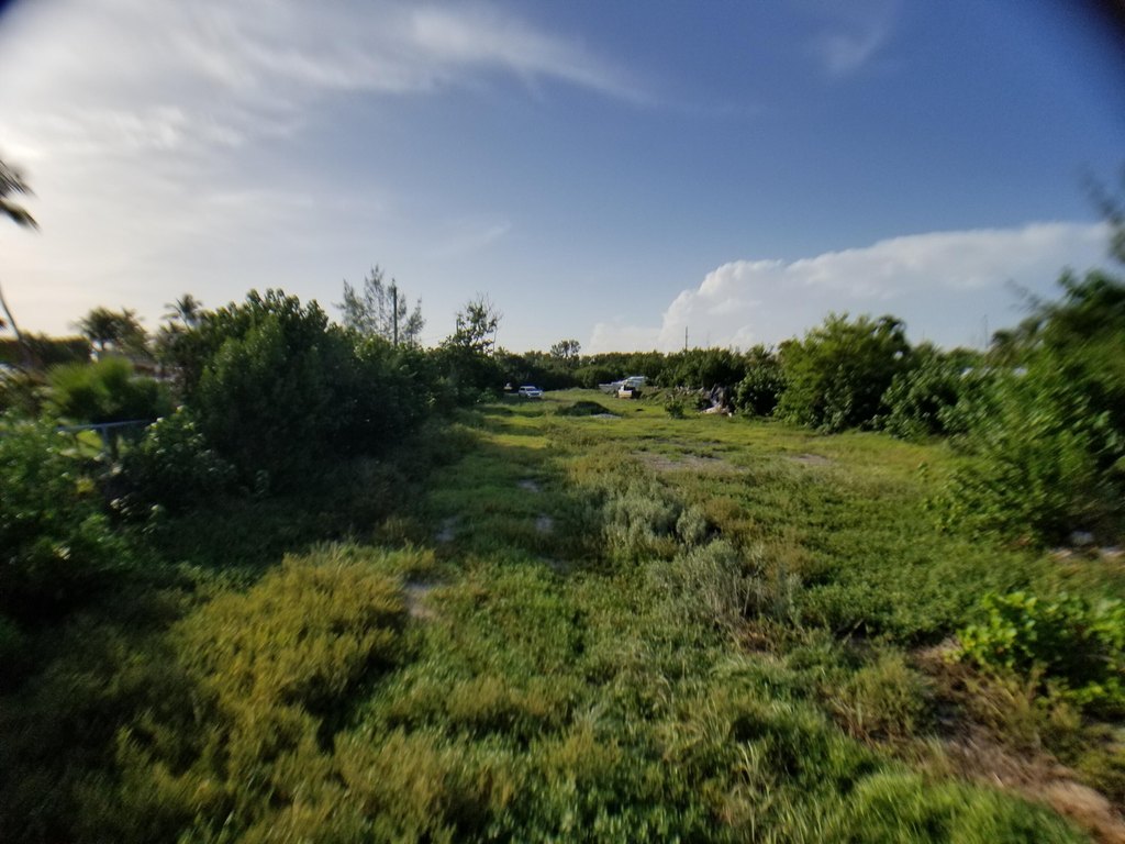 Picture 24