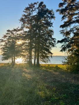 Waterfront Lot in Gated Community