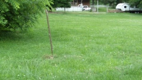 Level Land in Celina, TN