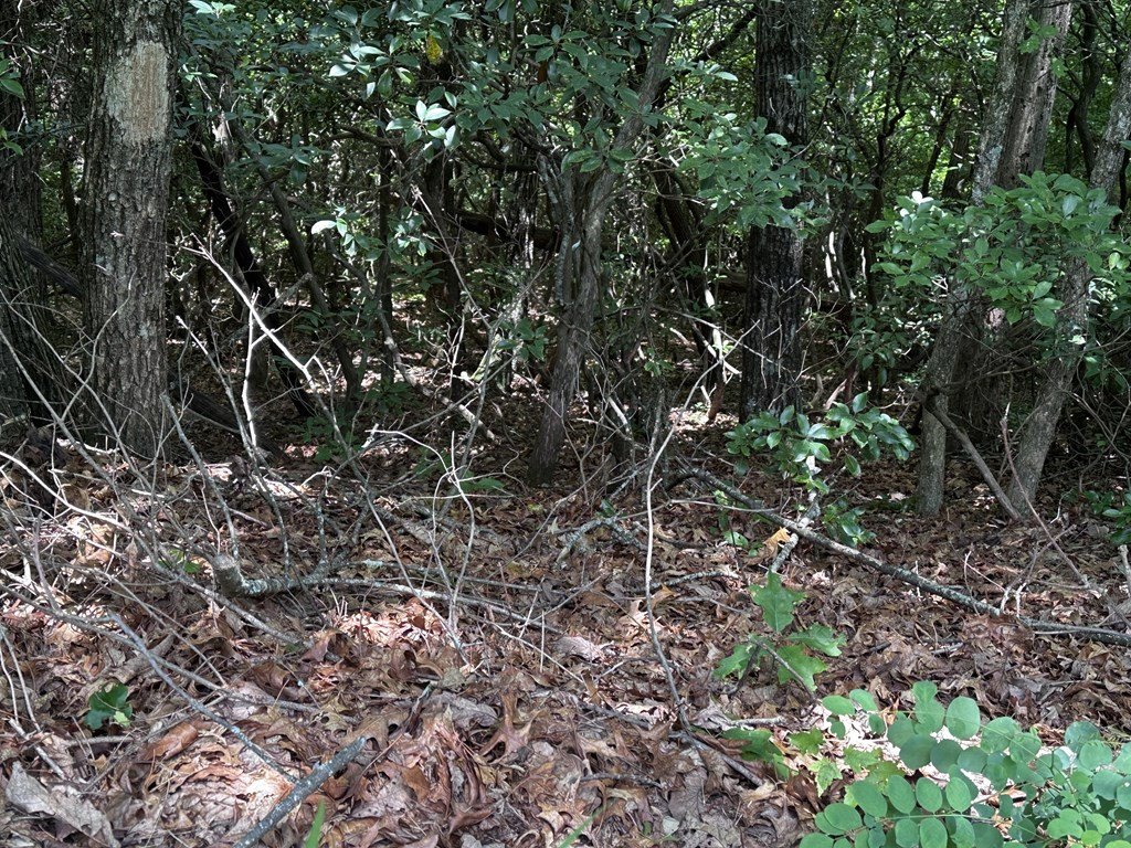 Picture 26