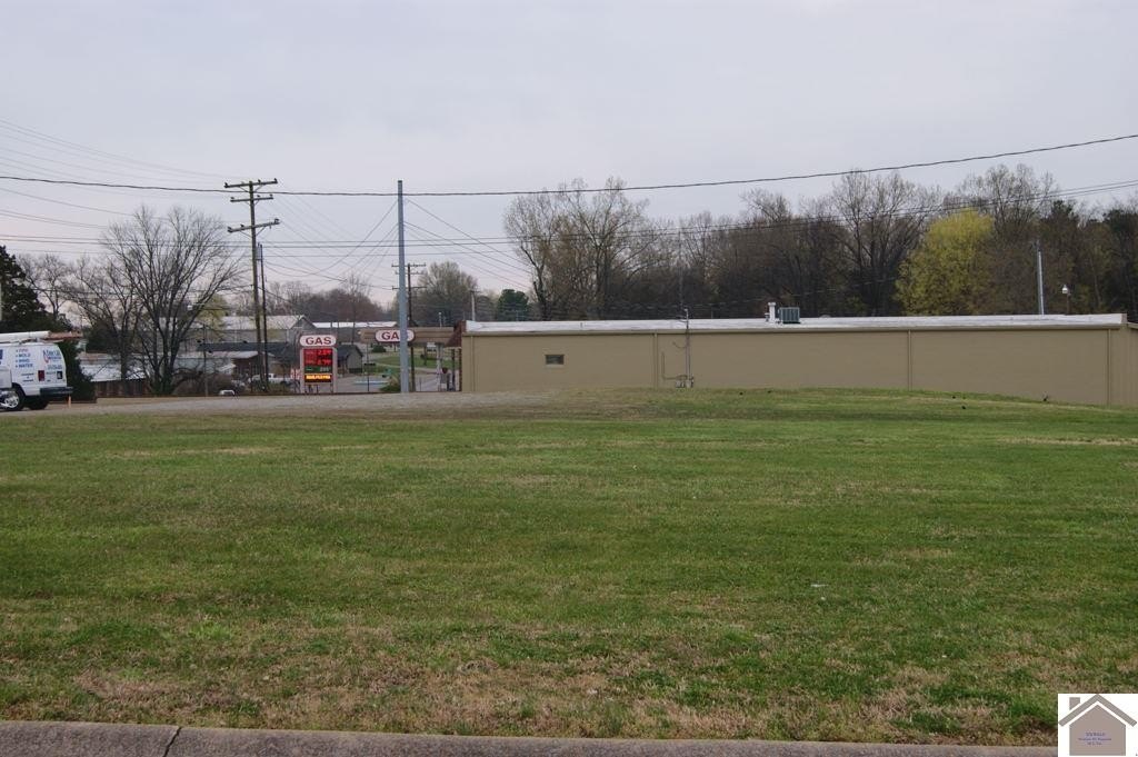 Picture 5