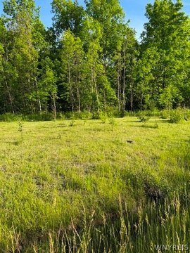 LAND - Hamburg, NY