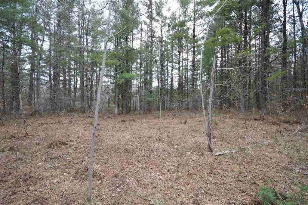 Picture 15