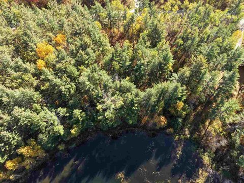 Lots/Land, Elmira, MI