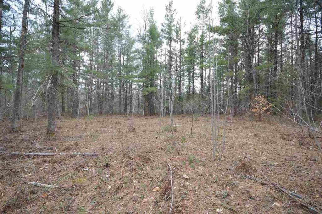 Picture 11