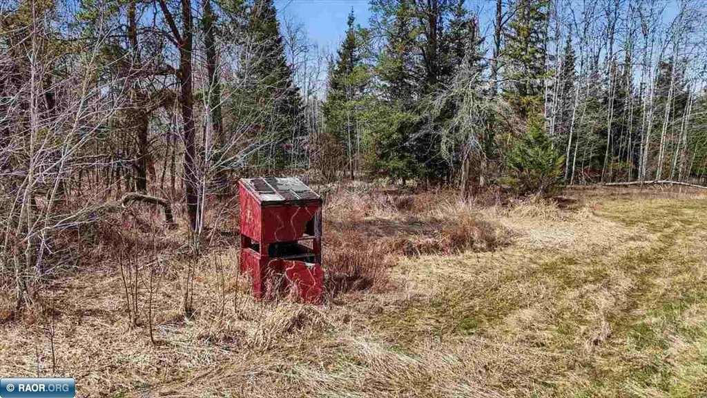 Picture 7