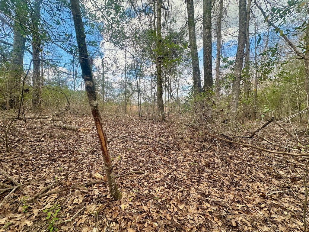 Picture 14