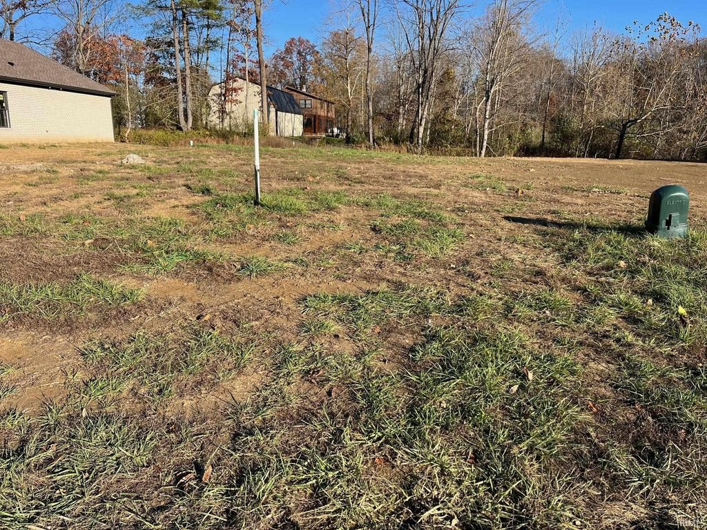 Picture 6