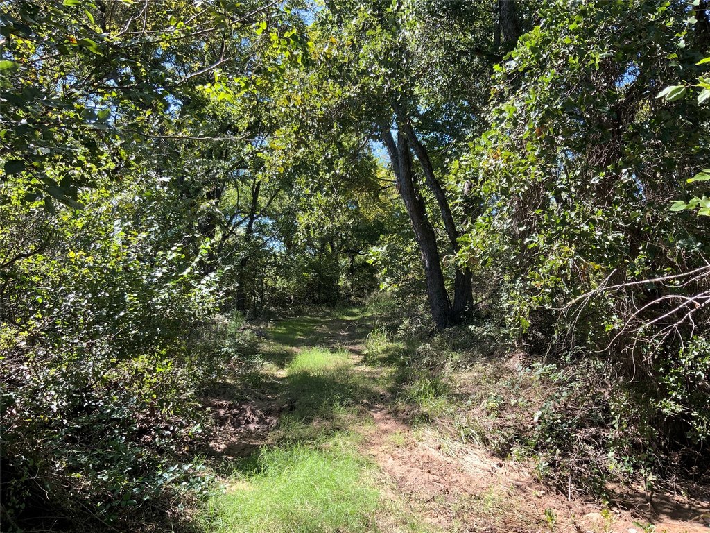 Picture 18