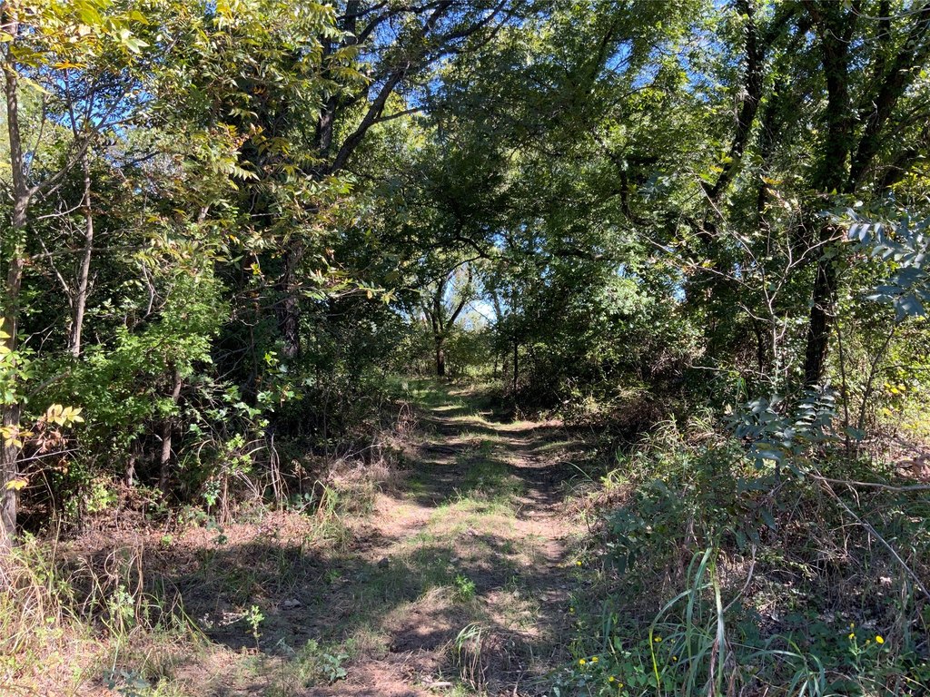Picture 22
