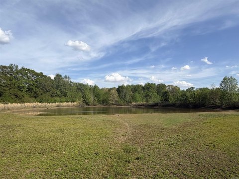 Five Acres with Pond