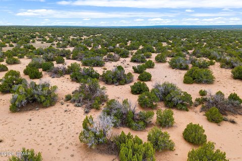 Land, St. Johns, AZ
