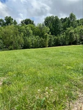 Residential Lot in Thornridge Subdivision