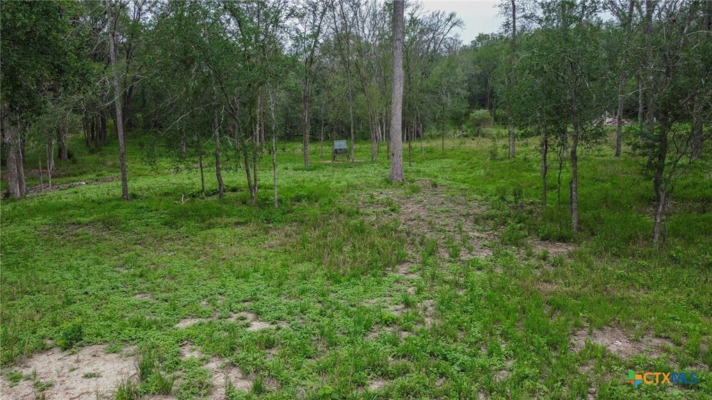 Picture 9